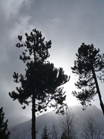P1010699